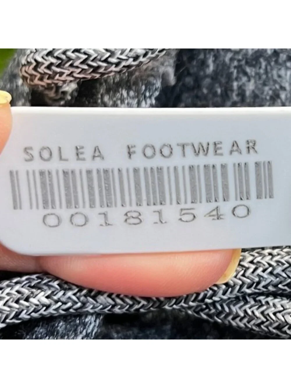 allbirds please review